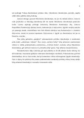 Autokratija 8 puslapis