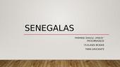Senegalas