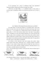 Automobilio vairavimas ypatingomis sąlygomis 11 puslapis