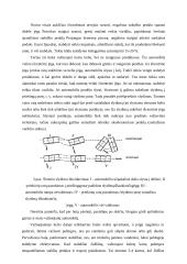 Automobilio vairavimas ypatingomis sąlygomis 13 puslapis