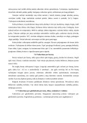 Automobilio vairavimas ypatingomis sąlygomis 19 puslapis