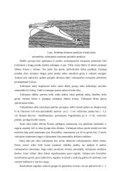 Automobilio vairavimas ypatingomis sąlygomis 3 puslapis