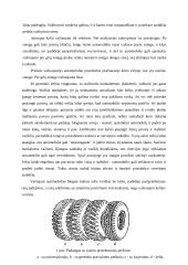 Automobilio vairavimas ypatingomis sąlygomis 8 puslapis