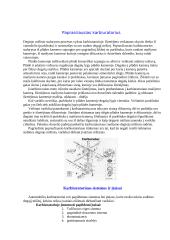Automobilis ir jo technika 14 puslapis
