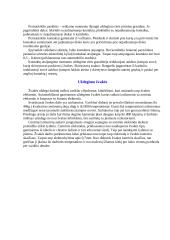 Automobilis ir jo technika 16 puslapis