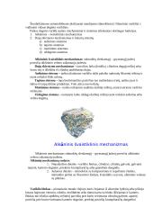 Automobilis ir jo technika 3 puslapis