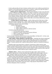 Automobilis ir jo technika 4 puslapis