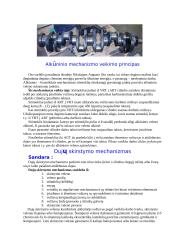 Automobilis ir jo technika 5 puslapis