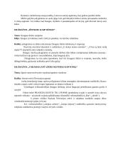 Maironio kontekstas, eilėraščių analizė 2 puslapis