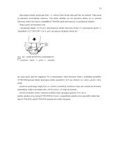 Automobilių hidraulinė pakaba 11 puslapis