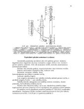 Automobilių hidraulinė pakaba 16 puslapis