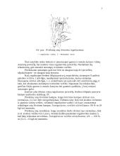 Automobilių hidraulinė pakaba 7 puslapis