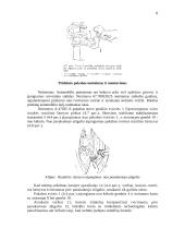 Automobilių hidraulinė pakaba 8 puslapis