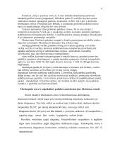 Automobilių hidraulinė pakaba 9 puslapis