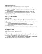 A. Mickevičius. Kontekstas, kūrybos analizė 2 puslapis