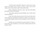 Juozas Tumas-Vaižgantas. Kontekstas, apysakos aprašymas 2 puslapis