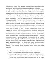 Jonas Biliūnas. Kontekstas, kūrybos analizė 2 puslapis