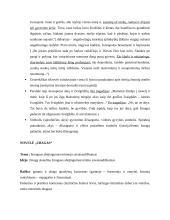 Jonas Biliūnas. Kontekstas, kūrybos analizė 3 puslapis