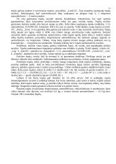 Autotransporto tepalai ir alyvos 14 puslapis