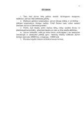 Autotransporto tepalai ir alyvos 15 puslapis