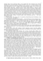 Autotransporto tepalai ir alyvos 4 puslapis