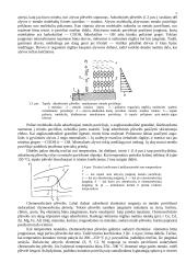 Autotransporto tepalai ir alyvos 5 puslapis