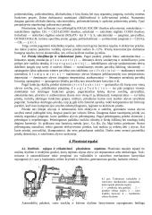 Autotransporto tepalai ir alyvos 8 puslapis