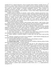 Autotransporto tepalai ir alyvos 9 puslapis