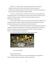 Avariniu rėžimu jutikliai 8 puslapis