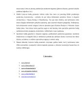 Baldų gamybos ateitis ir tendencijos 11 puslapis