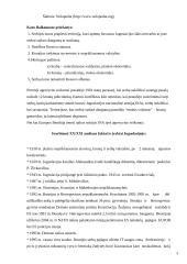 Balkanų konfliktas 3 puslapis