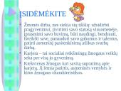 Darbo paskirtis ir karjeros samprata  11 puslapis