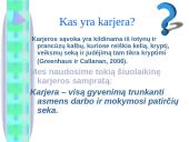 Darbo paskirtis ir karjeros samprata  7 puslapis