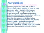 Darbo paskirtis ir karjeros samprata  8 puslapis