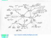 Darbo paskirtis ir karjeros samprata  9 puslapis