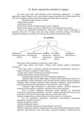 Bankai, jų rūšys bei funkcijos 7 puslapis