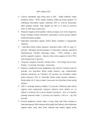 BVP rodikliai Lietuvoje 2015-2019 2 puslapis