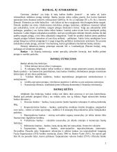 Bankai, jų funkcijos ir vaidmuo ekonomikoje 2 puslapis