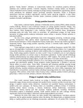 Bankai, jų funkcijos ir vaidmuo ekonomikoje 6 puslapis