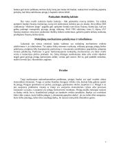 Bankai, jų funkcijos ir vaidmuo ekonomikoje 7 puslapis