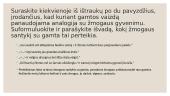 Peizažas K. Donelaičio „Metuose“ 5 puslapis