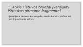 Lietuvos paveikslas Radviliadoje 2 puslapis
