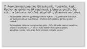 Lietuvos paveikslas Radviliadoje 8 puslapis