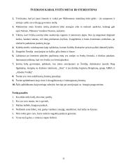 Dokumentų aplankas. Tarptautinės komunikacijos savarankiškas darbas 10 puslapis