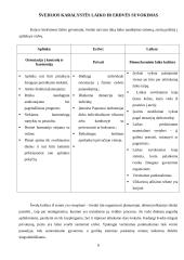 Dokumentų aplankas. Tarptautinės komunikacijos savarankiškas darbas 7 puslapis