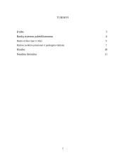 Bankas - rizikos įmonė 2 puslapis