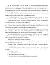 Bankas - rizikos įmonė 5 puslapis