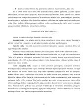 Bankas - rizikos įmonė 6 puslapis
