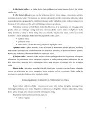 Bankas - rizikos įmonė 7 puslapis