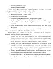 Bankas - rizikos įmonė 8 puslapis